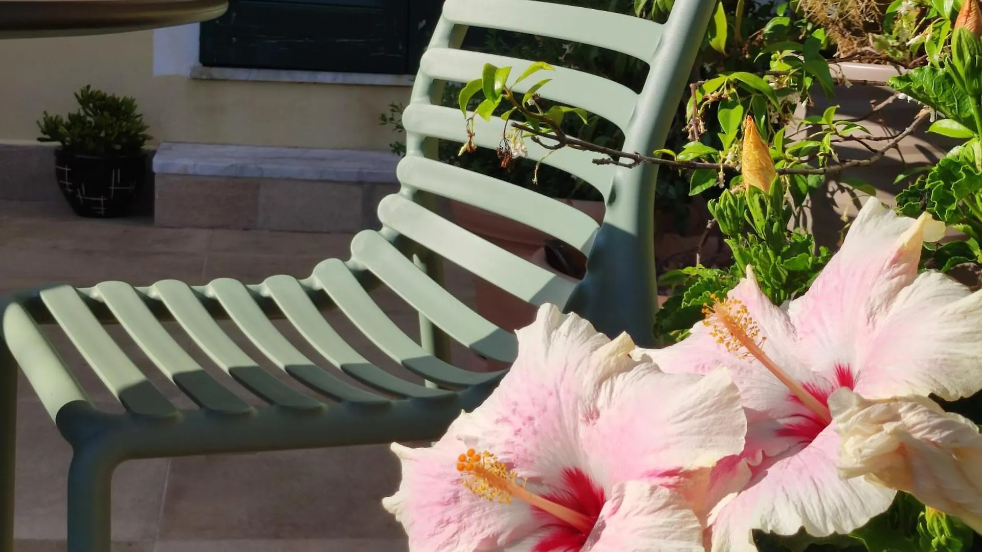 Il Giardino Di Tatiana Rooms & Breakfast La Maddalena