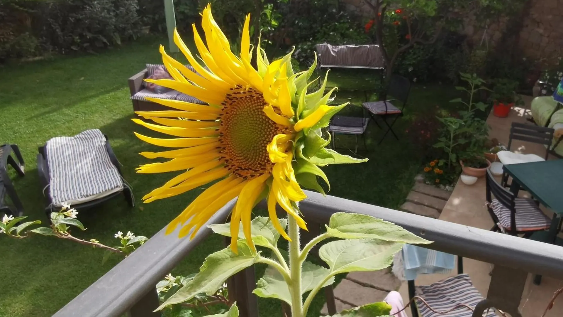 Il Giardino Di Tatiana Rooms & Breakfast La Maddalena  Italien