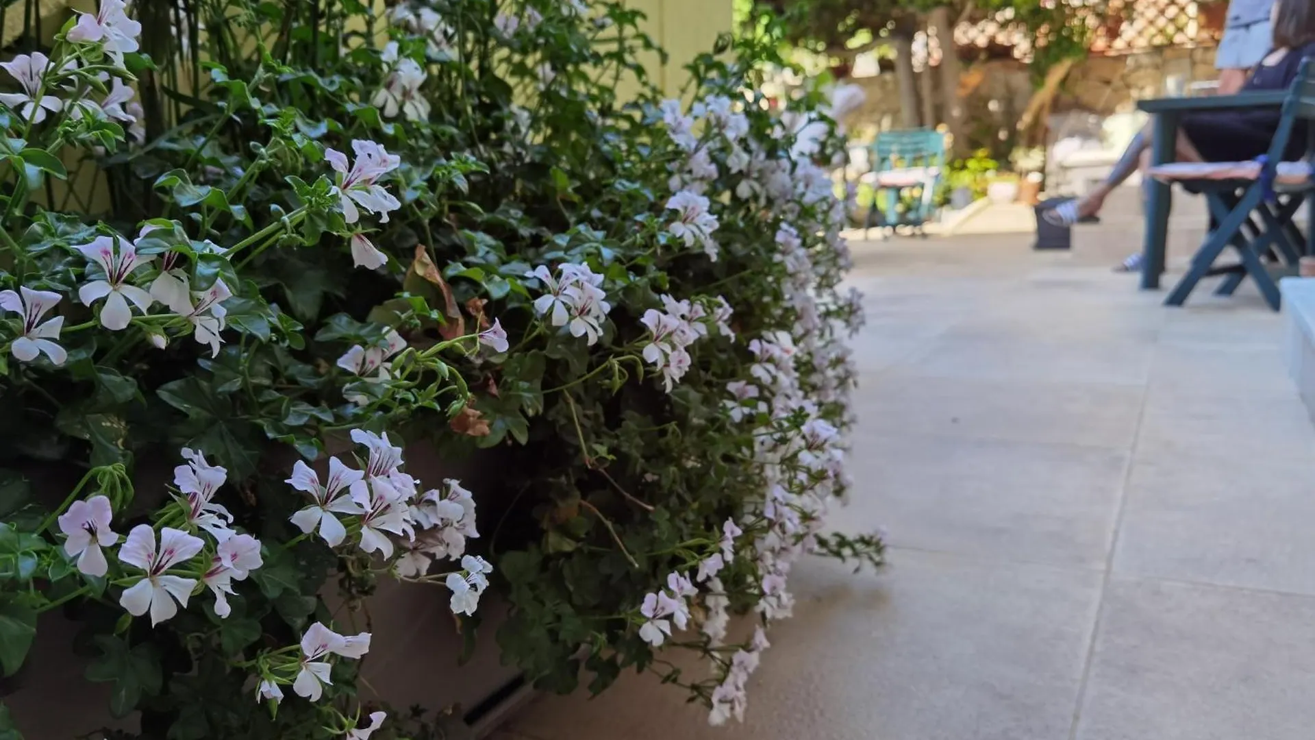 Il Giardino Di Tatiana Rooms & Breakfast La Maddalena  Frühstückspension La Maddalena (Sassari)