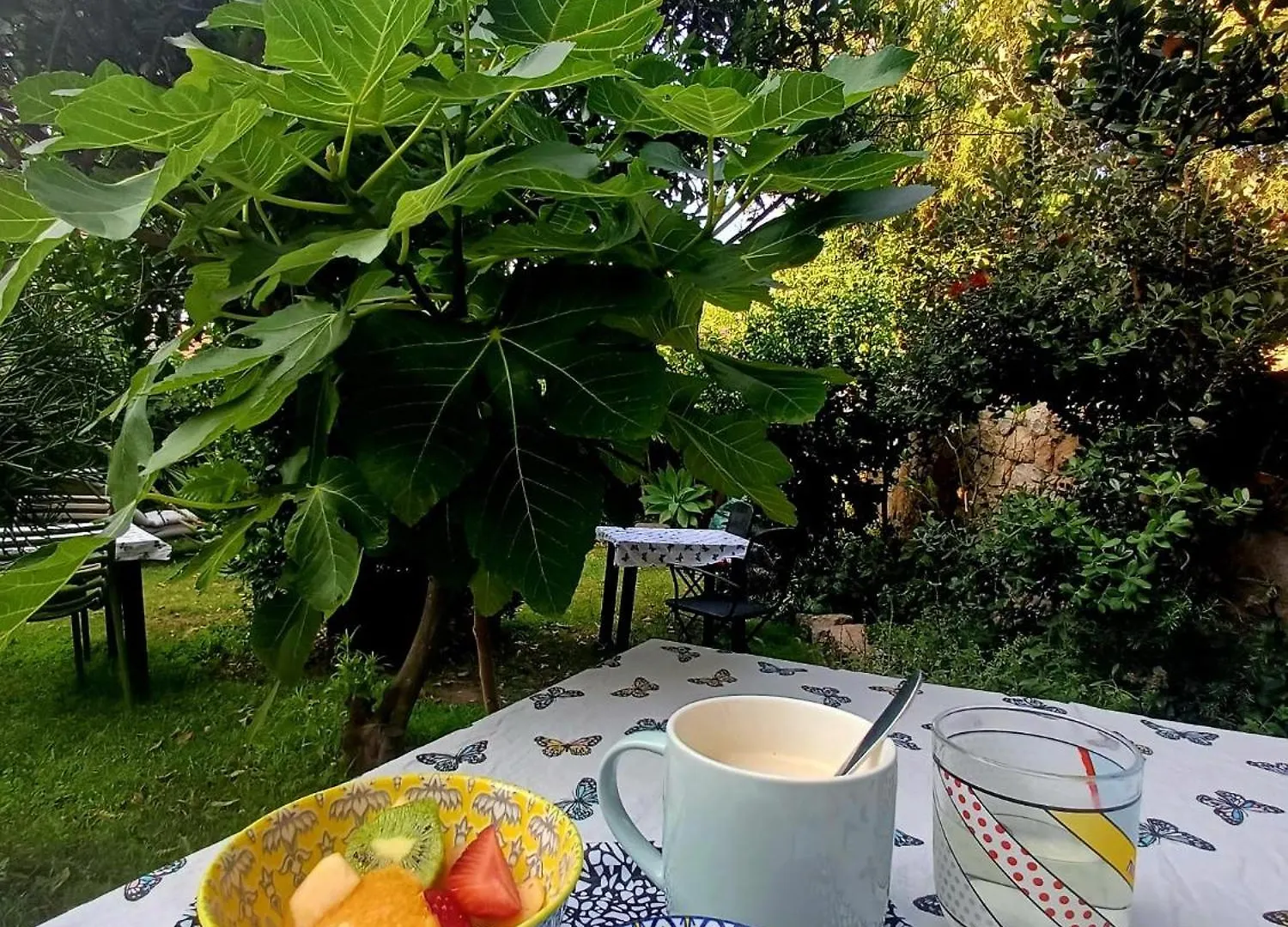 Bed & Breakfast Il Giardino Di Tatiana Rooms & Breakfast La Maddalena  Italy